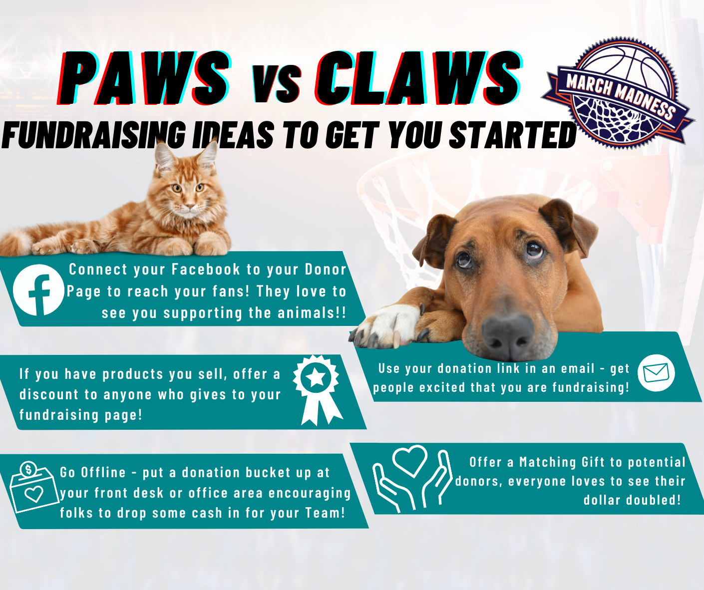 Paws vs. Claws: March Madness